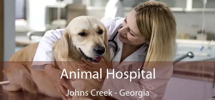 Animal Hospital Johns Creek - Georgia