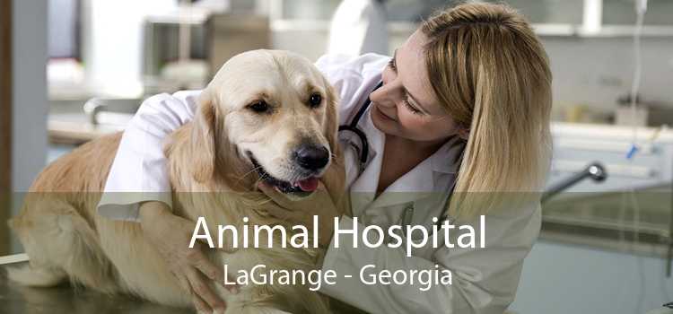 Animal Hospital LaGrange - Georgia