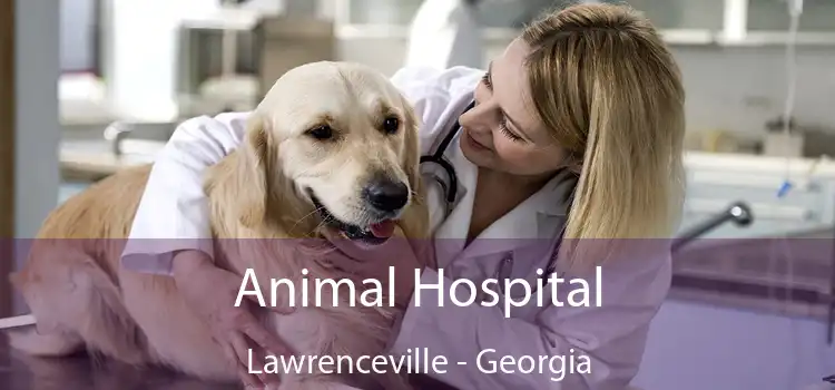 Animal Hospital Lawrenceville - Georgia