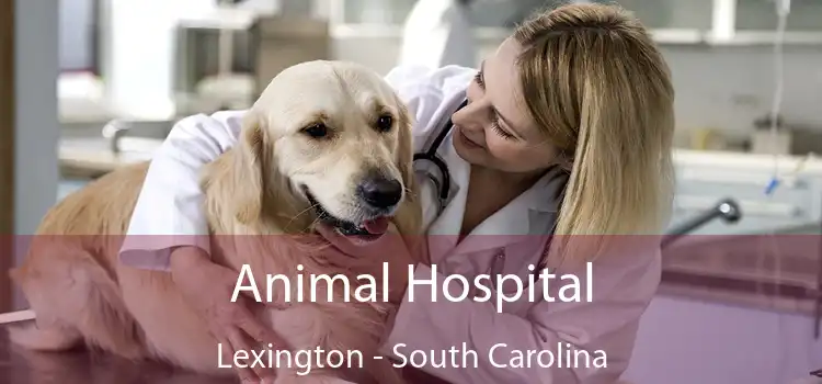 Animal Hospital Lexington - South Carolina