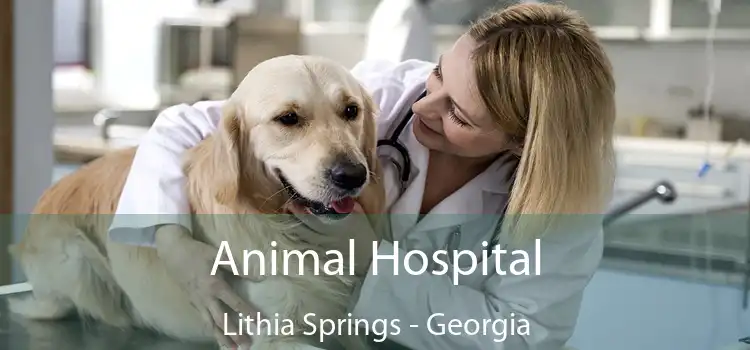 Animal Hospital Lithia Springs - Georgia