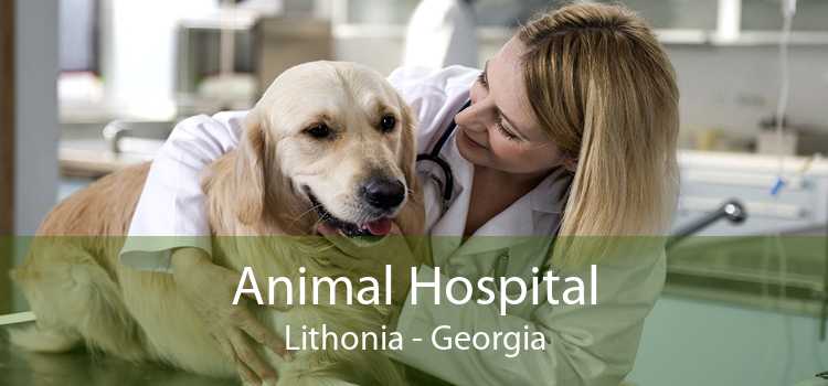 Animal Hospital Lithonia - Georgia