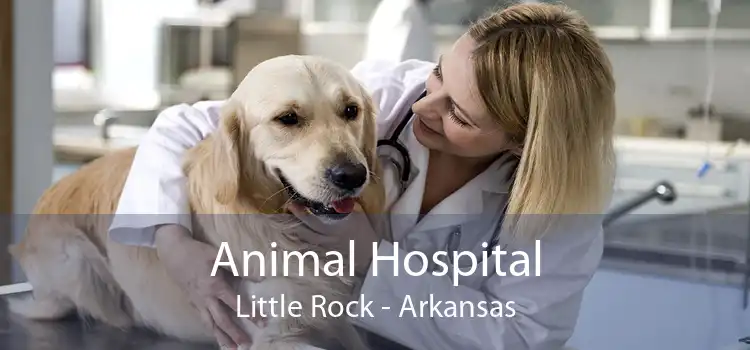 Animal Hospital Little Rock - Arkansas