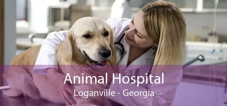Animal Hospital Loganville - Georgia