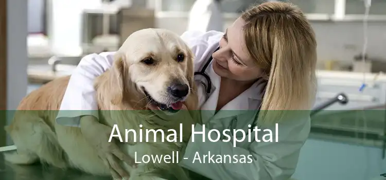 Animal Hospital Lowell - Arkansas