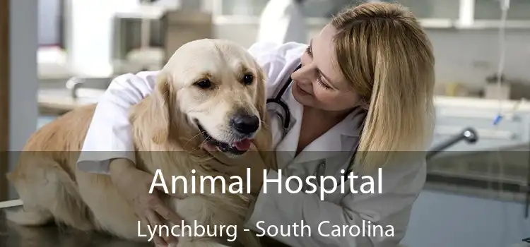 Animal Hospital Lynchburg - South Carolina