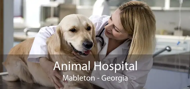 Animal Hospital Mableton - Georgia