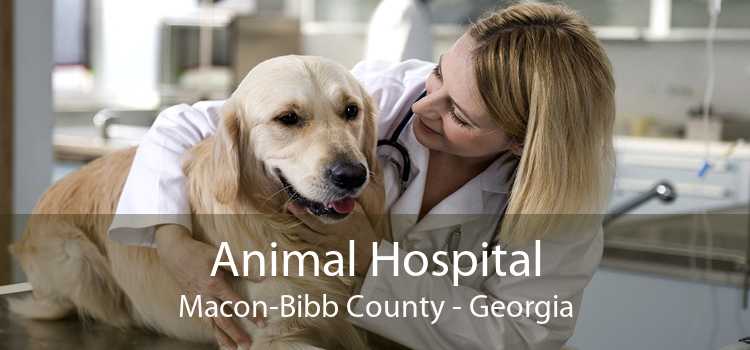 Animal Hospital Macon-Bibb County - Georgia