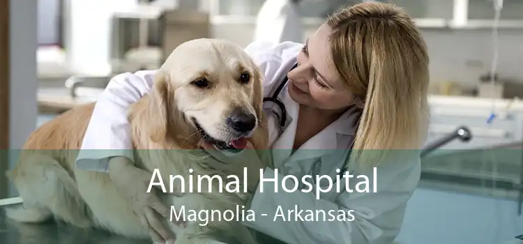 Animal Hospital Magnolia - Arkansas