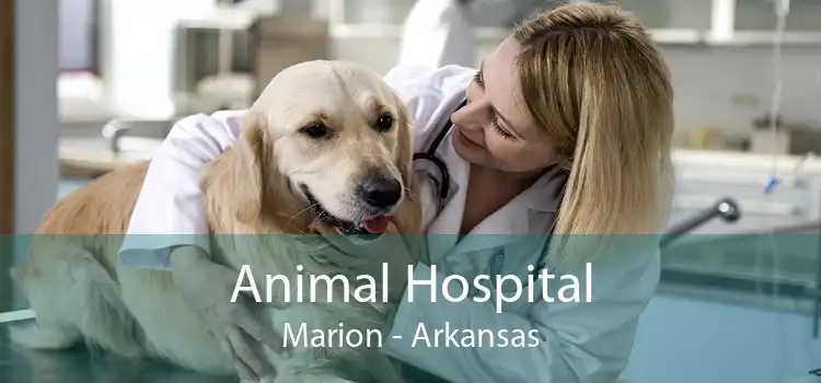 Animal Hospital Marion - Arkansas