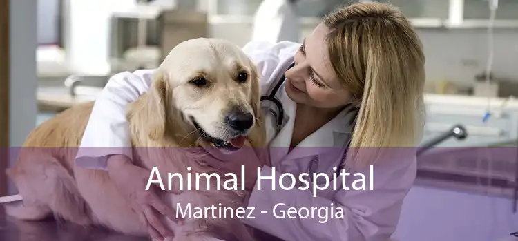 Animal Hospital Martinez - Georgia