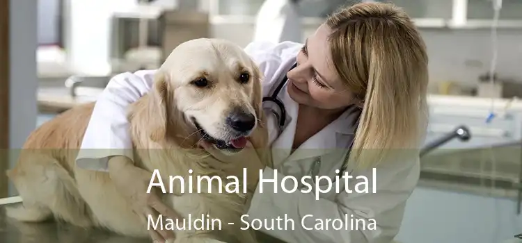 Animal Hospital Mauldin - South Carolina