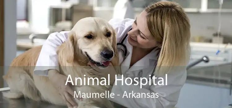 Animal Hospital Maumelle - Arkansas