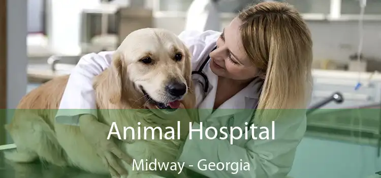 Animal Hospital Midway - Georgia