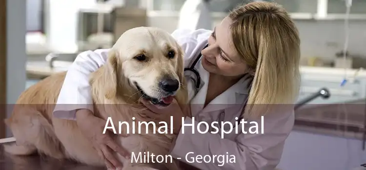 Animal Hospital Milton - Georgia