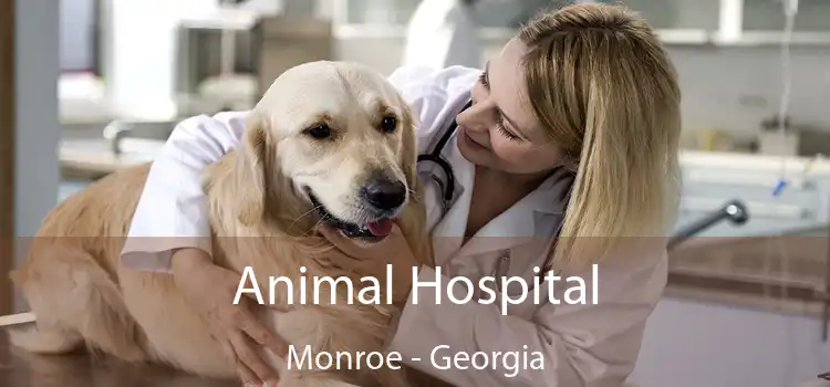 Animal Hospital Monroe - Georgia