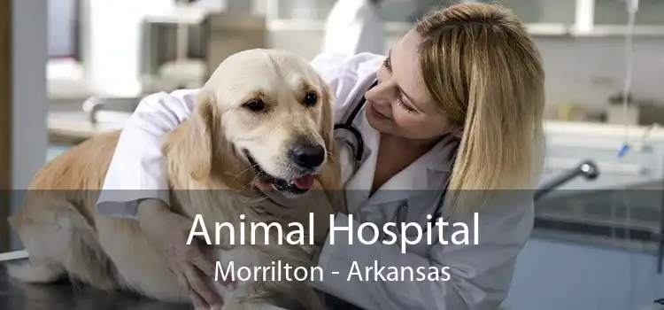 Animal Hospital Morrilton - Arkansas