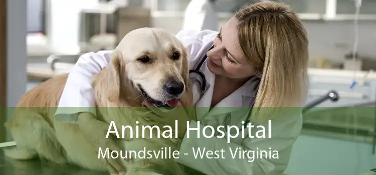 Animal Hospital Moundsville - West Virginia