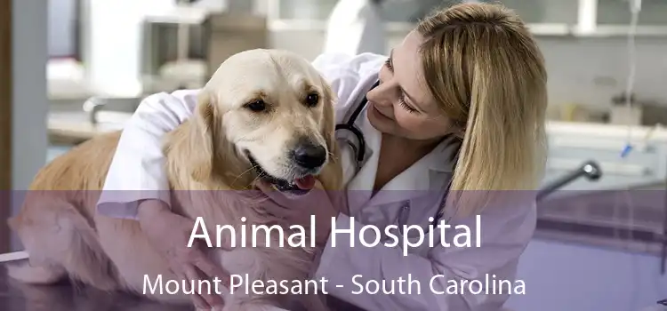 Animal Hospital Mount Pleasant - South Carolina