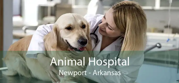 Animal Hospital Newport - Arkansas