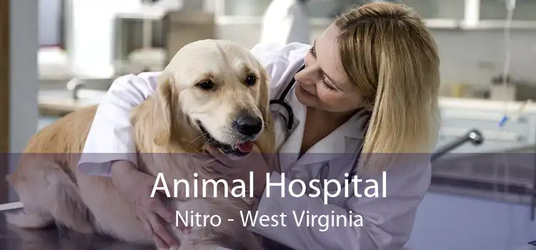 Animal Hospital Nitro - West Virginia