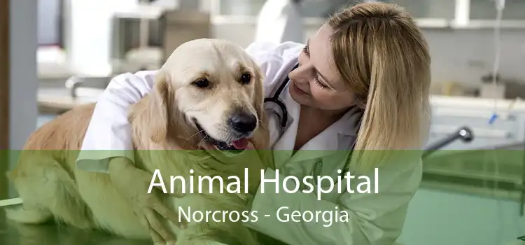 Animal Hospital Norcross - Georgia