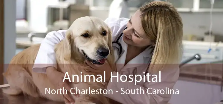 Animal Hospital North Charleston - South Carolina