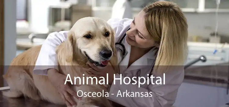 Animal Hospital Osceola - Arkansas