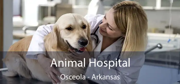 Animal Hospital Osceola - Arkansas