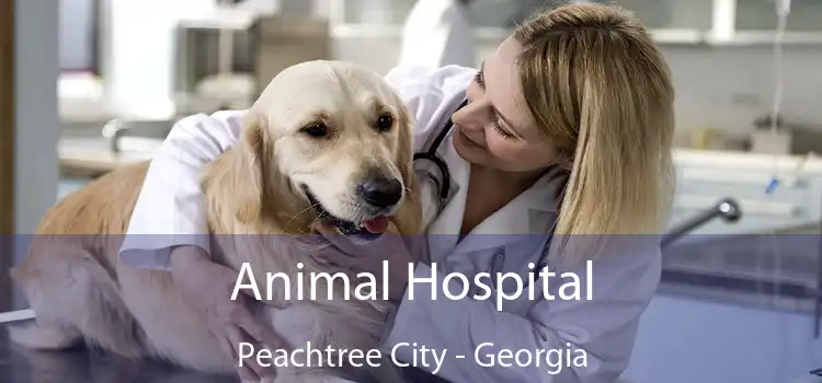 Animal Hospital Peachtree City - Georgia