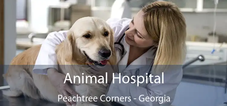 Animal Hospital Peachtree Corners - Georgia