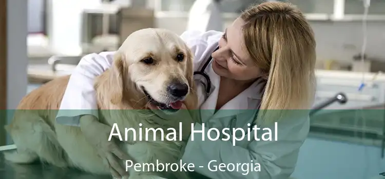 Animal Hospital Pembroke - Georgia