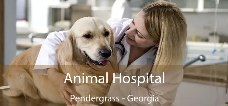 Animal Hospital Pendergrass - Georgia