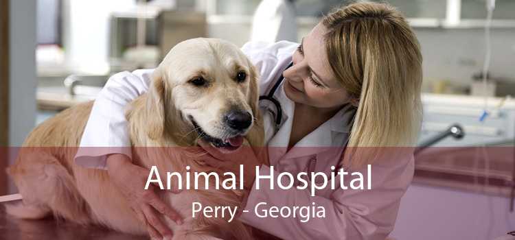 Animal Hospital Perry - Georgia