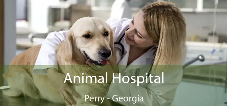 Animal Hospital Perry - Georgia