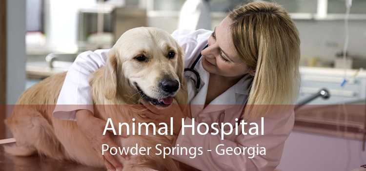 Animal Hospital Powder Springs - Georgia
