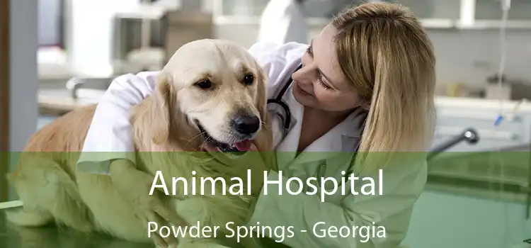 Animal Hospital Powder Springs - Georgia