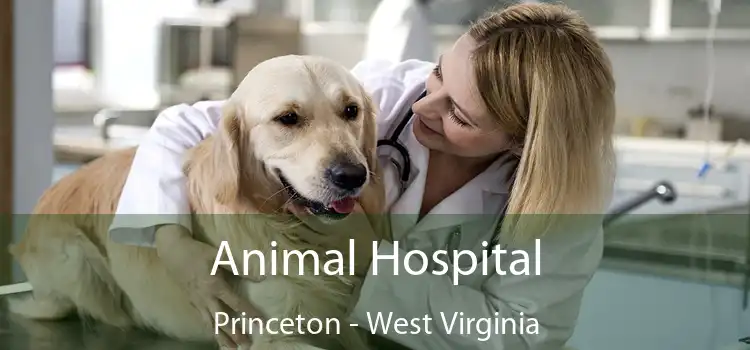 Animal Hospital Princeton - West Virginia