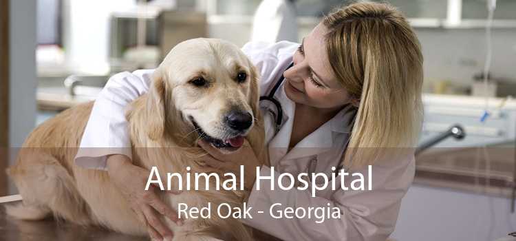 Animal Hospital Red Oak - Georgia