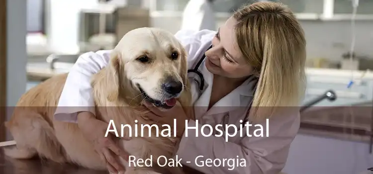 Animal Hospital Red Oak - Georgia