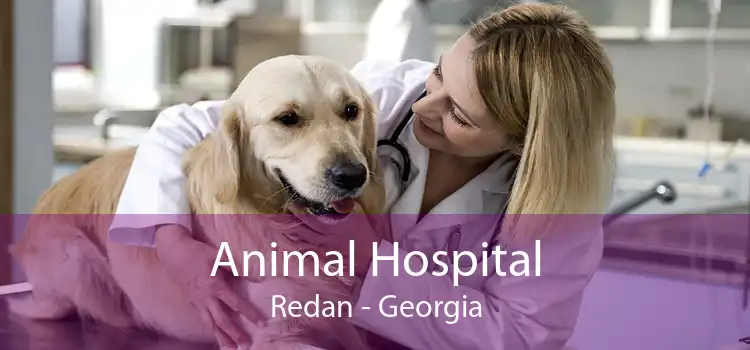 Animal Hospital Redan - Georgia