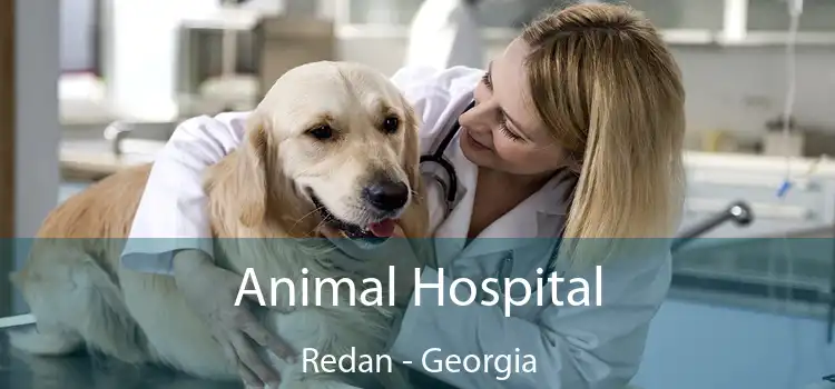 Animal Hospital Redan - Georgia