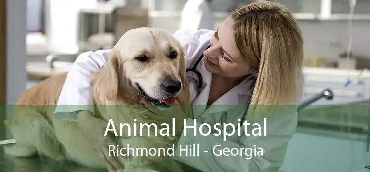 Animal Hospital Richmond Hill - Georgia