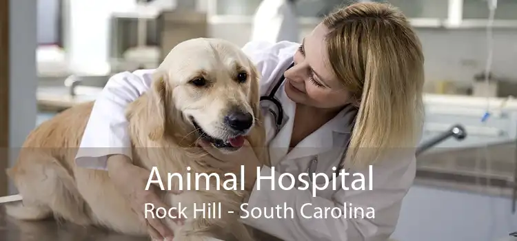 Animal Hospital Rock Hill - South Carolina