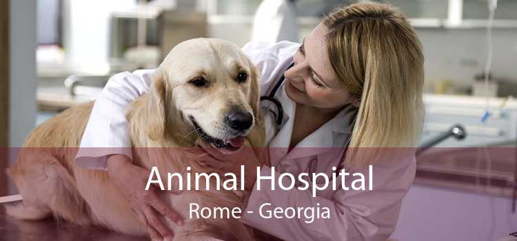 Animal Hospital Rome - Georgia