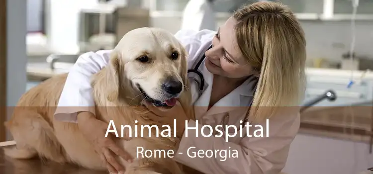 Animal Hospital Rome - Georgia