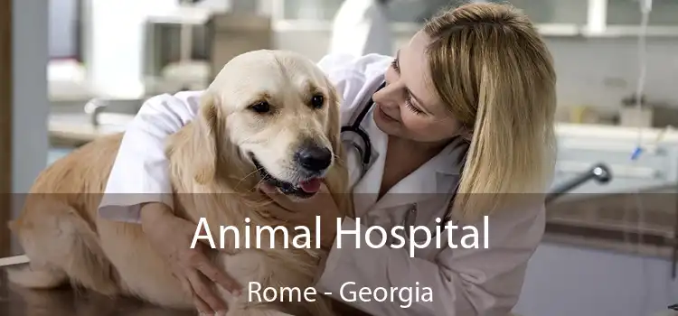 Animal Hospital Rome - Georgia