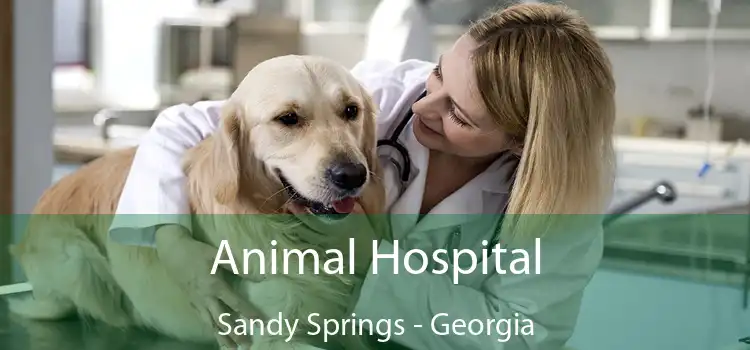 Animal Hospital Sandy Springs - Georgia