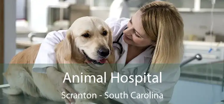 Animal Hospital Scranton - South Carolina