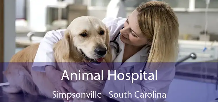 Animal Hospital Simpsonville - South Carolina